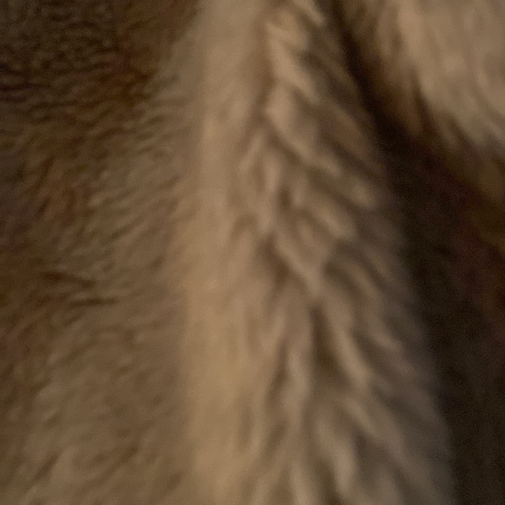 Coat - Picture 4 of 5